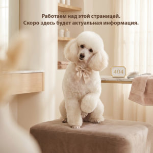 пудель в салоне николь грум